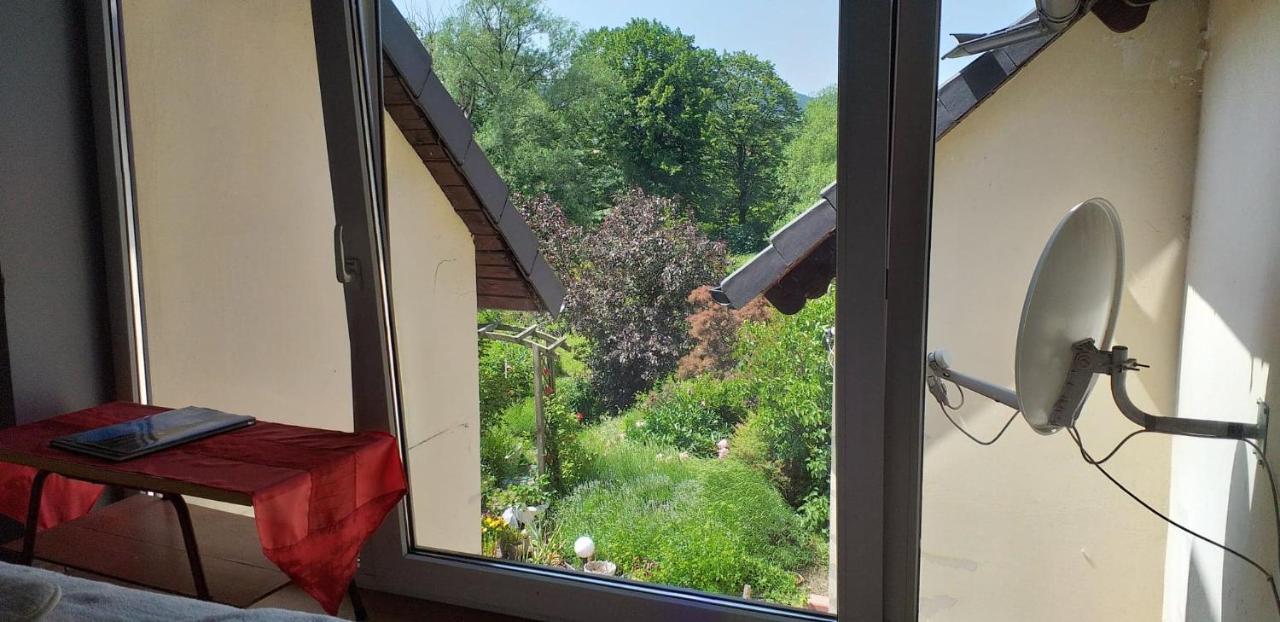 Apasjonata Apartment Swidnica  Luaran gambar